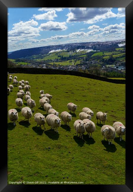 Herd of Sheep in a Field with Snow Covered Hills Near Harrogate. Framed Print by Steve Gill