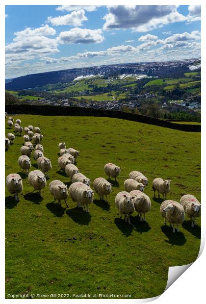 Herd of Sheep in a Field with Snow Covered Hills Near Harrogate. Print by Steve Gill