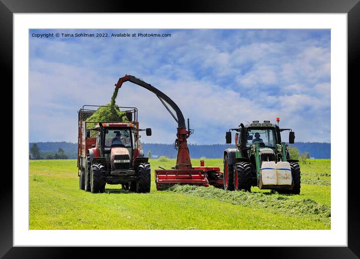 Two Tractors Harvesting Grass for Cattle Feed Framed Mounted Print by Taina Sohlman