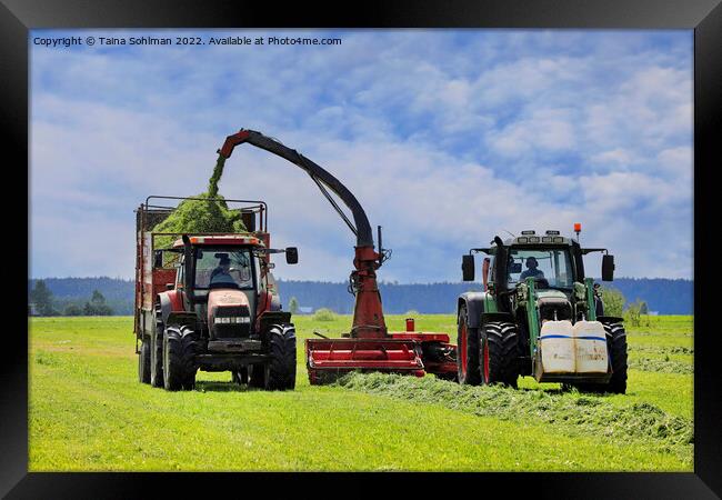 Two Tractors Harvesting Grass for Cattle Feed Framed Print by Taina Sohlman