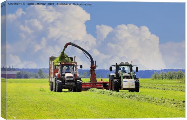 Tractors Harvesting Grass with Forage Harvester  Canvas Print by Taina Sohlman