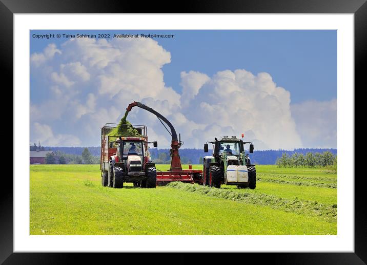 Tractors Harvesting Grass with Forage Harvester  Framed Mounted Print by Taina Sohlman