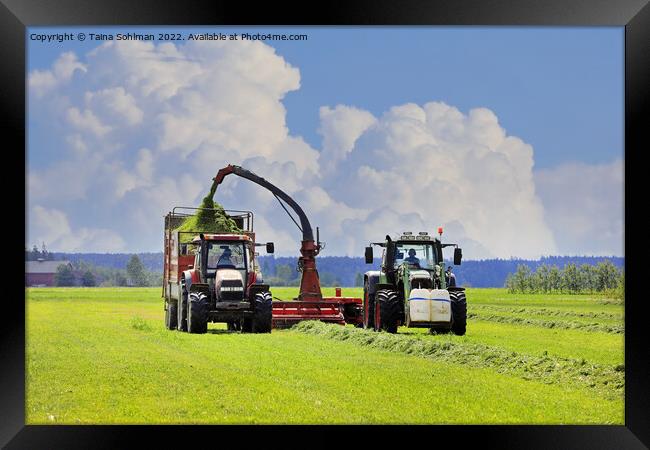 Tractors Harvesting Grass with Forage Harvester  Framed Print by Taina Sohlman