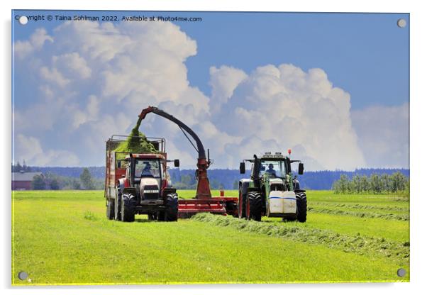 Tractors Harvesting Grass with Forage Harvester  Acrylic by Taina Sohlman