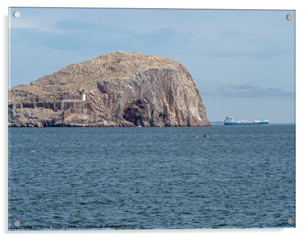 Bass Rock Lighthouse with tanker passing Acrylic by chris hyde