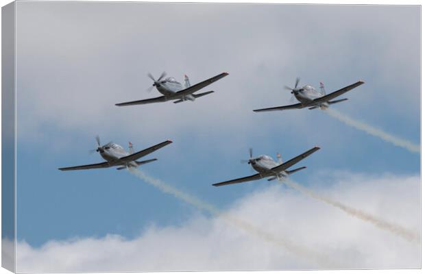 Irish Air Corps Silver Swallows Canvas Print by J Biggadike
