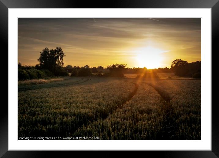 Field Of Wheat At Sunset. Framed Mounted Print by Craig Yates