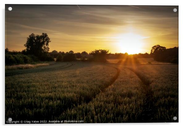 Field Of Wheat At Sunset. Acrylic by Craig Yates