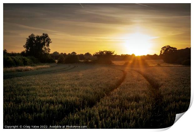 Field Of Wheat At Sunset. Print by Craig Yates