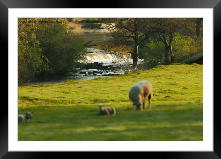 Water to grass Framed Mounted Print by andrew saxton