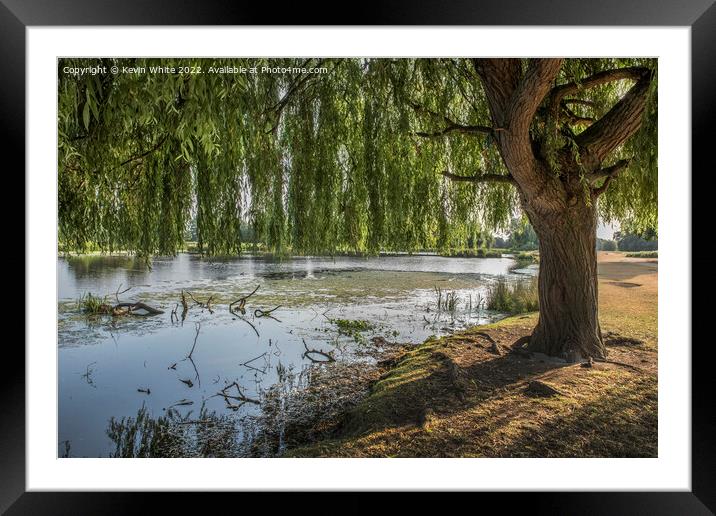 Shade from tree Framed Mounted Print by Kevin White