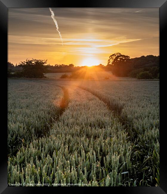A Field Of Wheat At Sunset. Framed Print by Craig Yates