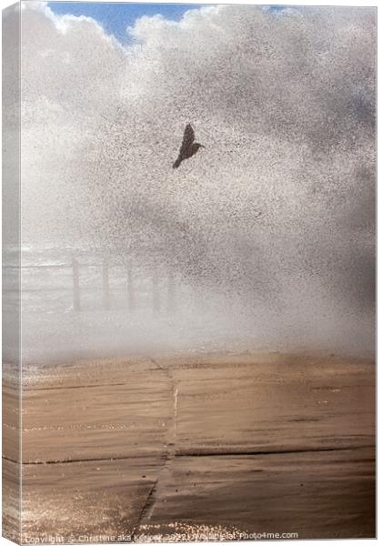 Gull Caught in a Wave Canvas Print by Christine Kerioak