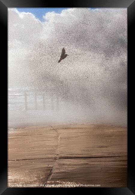 Gull Caught in a Wave Framed Print by Christine Kerioak