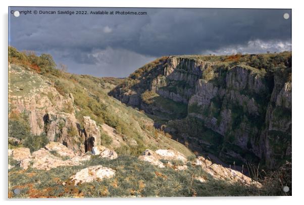 Moody Early Autumn day at Cheddar Gorge Acrylic by Duncan Savidge