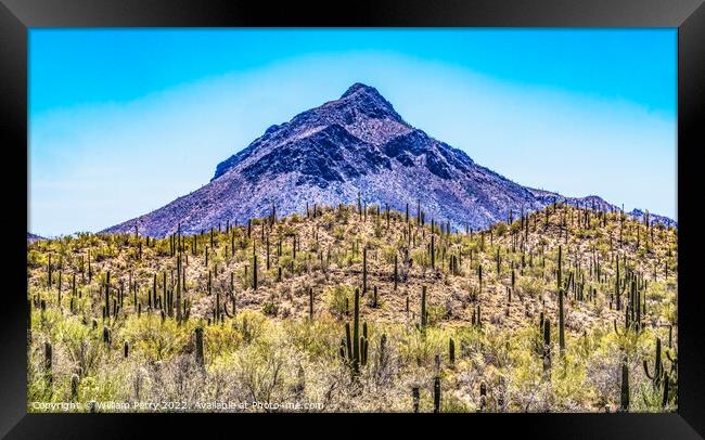 Mountain Saguaro Blooming Cactus Sonora Desert Tucson Arizona Framed Print by William Perry
