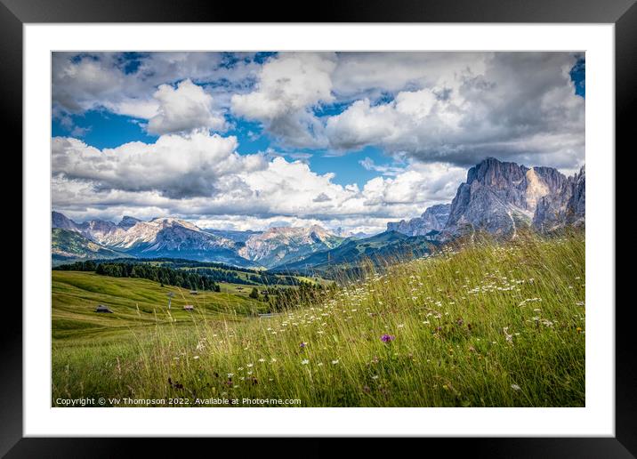 Wild Flowers on the Seiser Alm Framed Mounted Print by Viv Thompson
