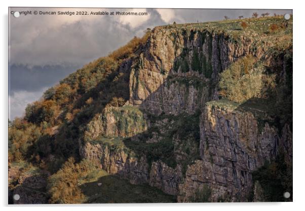 Cheddar Gorge Close up Acrylic by Duncan Savidge