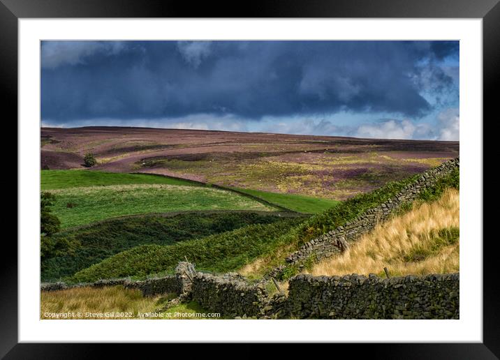 Sparse Grassland and Heather Separated by Drystone Framed Mounted Print by Steve Gill