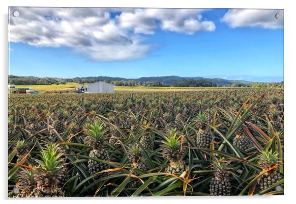 Pineapple Farm Fields Australia Acrylic by Julie Gresty