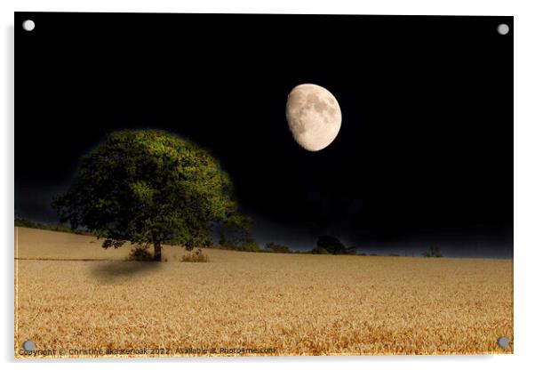 Harvest Moon Acrylic by Christine Kerioak