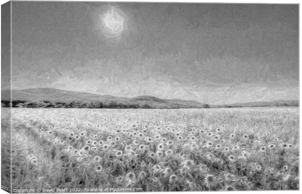 Sunflowers In Monochrome Art Canvas Print by David Pyatt