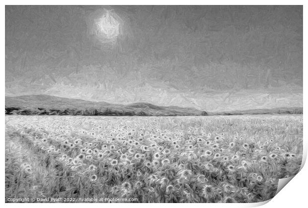 Sunflowers In Monochrome Art Print by David Pyatt