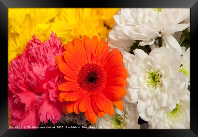 Colourful flowers close-up Framed Print by Christine Kerioak