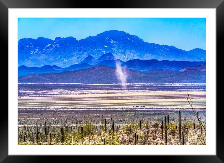 Dust Cloud Mountain Cactus Sonora Desert Museum Tucson Arizona Framed Mounted Print by William Perry