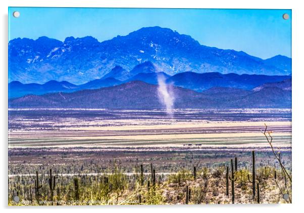 Dust Cloud Mountain Cactus Sonora Desert Museum Tucson Arizona Acrylic by William Perry