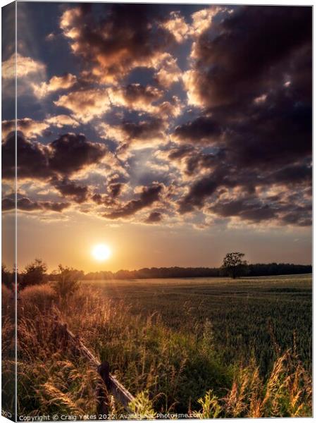 Sunset Over A field of Wheat Canvas Print by Craig Yates