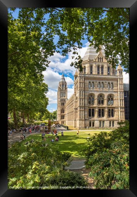 Natural History Museum Framed Print by Simon Connellan