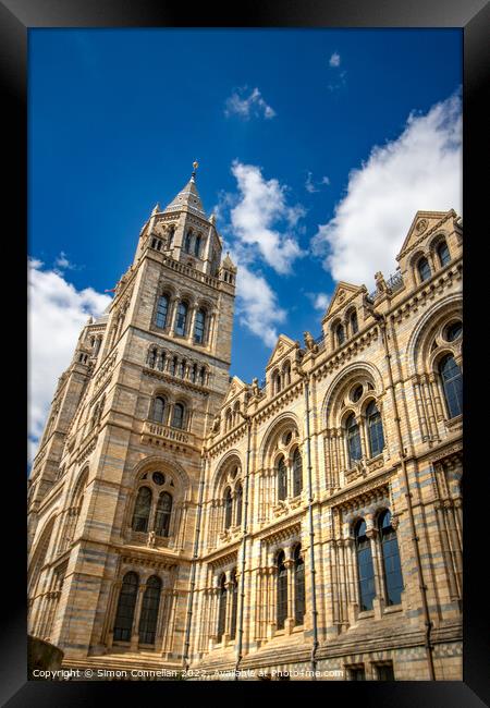 Natural History Museum Framed Print by Simon Connellan