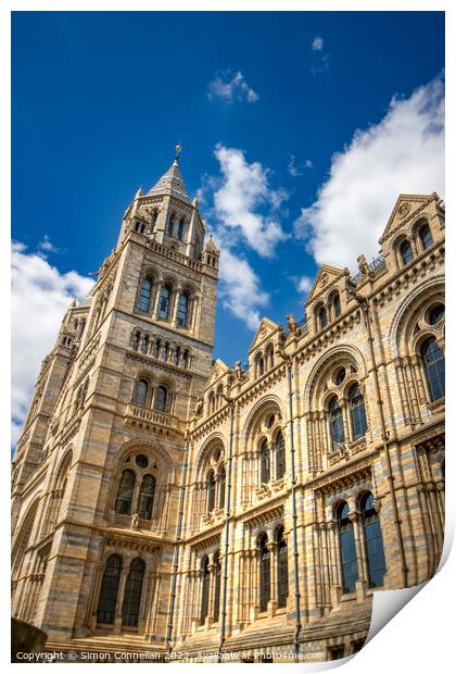 Natural History Museum Print by Simon Connellan