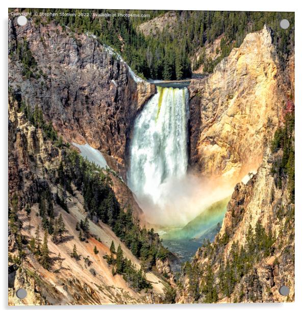 Lower Falls of the Yellowstone River Acrylic by Stephen Stookey