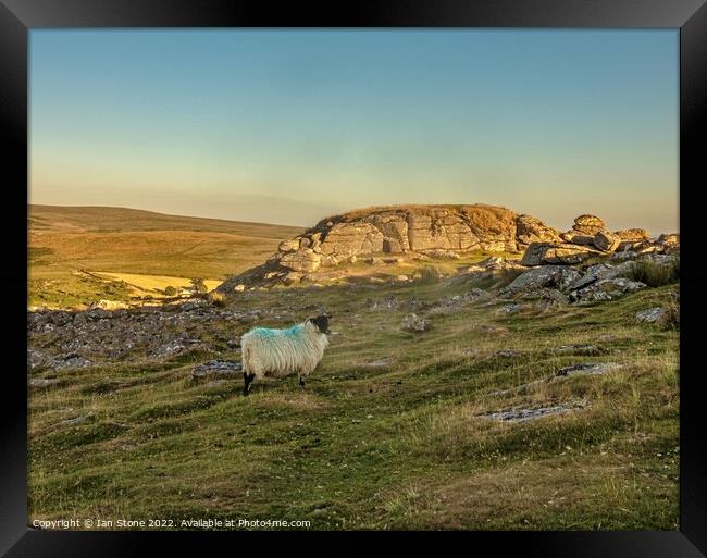 Sunset at Sheeps Tor. Framed Print by Ian Stone