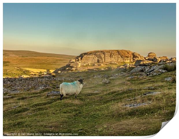 Sunset at Sheeps Tor. Print by Ian Stone