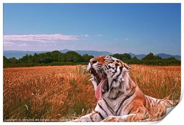 Yawning Tiger in field Print by Christine Kerioak