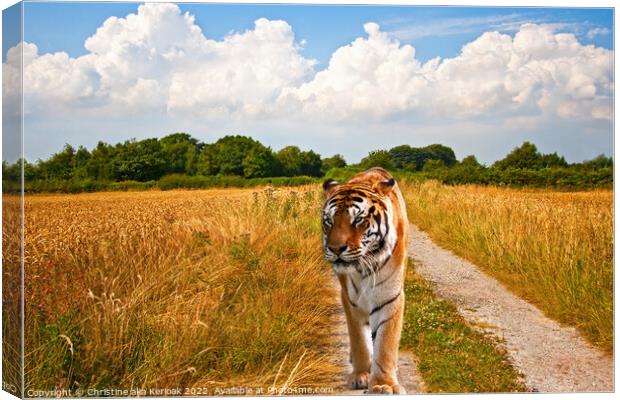 Tiger walking long a track Canvas Print by Christine Kerioak