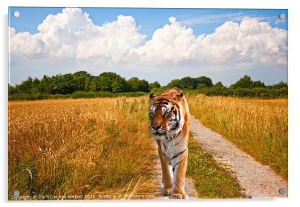 Tiger walking long a track Acrylic by Christine Kerioak