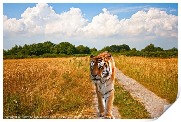 Tiger walking long a track Print by Christine Kerioak