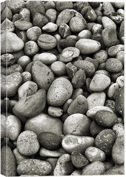 black and white pebbles Canvas Print by Heather Newton