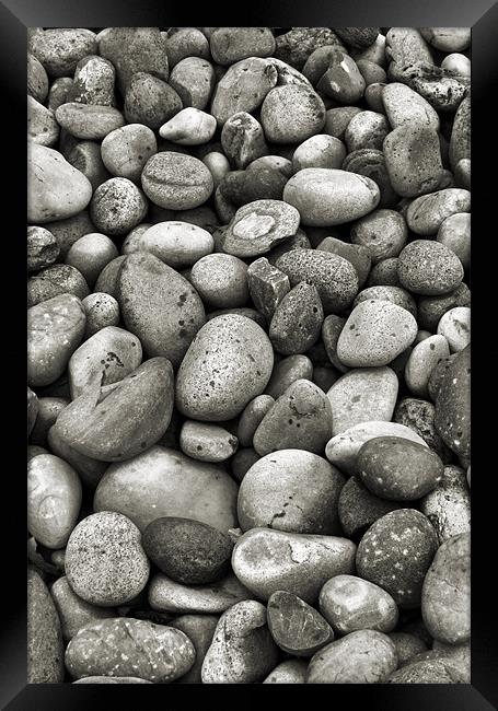black and white pebbles Framed Print by Heather Newton