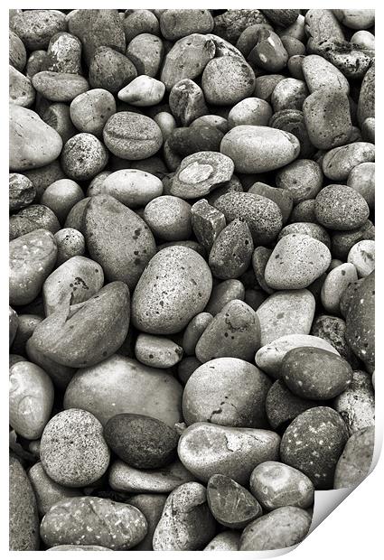black and white pebbles Print by Heather Newton