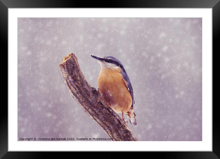 Nuthatch in the snow Framed Mounted Print by Christine Kerioak