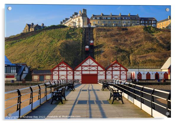 Tramway view (Saltburn Pier)  Acrylic by Andrew Ray