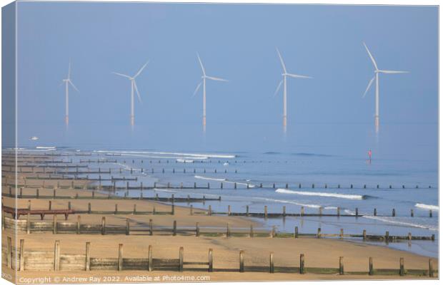 Groynes at Redcar Canvas Print by Andrew Ray