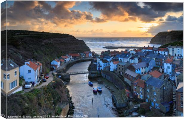 Morning at Staithes  Canvas Print by Andrew Ray