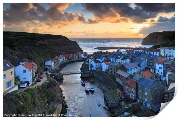 Morning at Staithes  Print by Andrew Ray