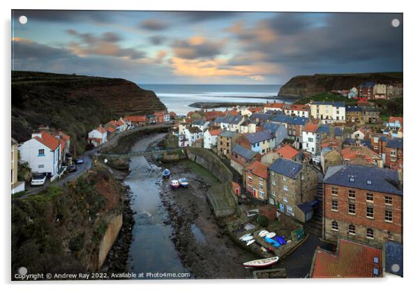 Staithes evening  Acrylic by Andrew Ray